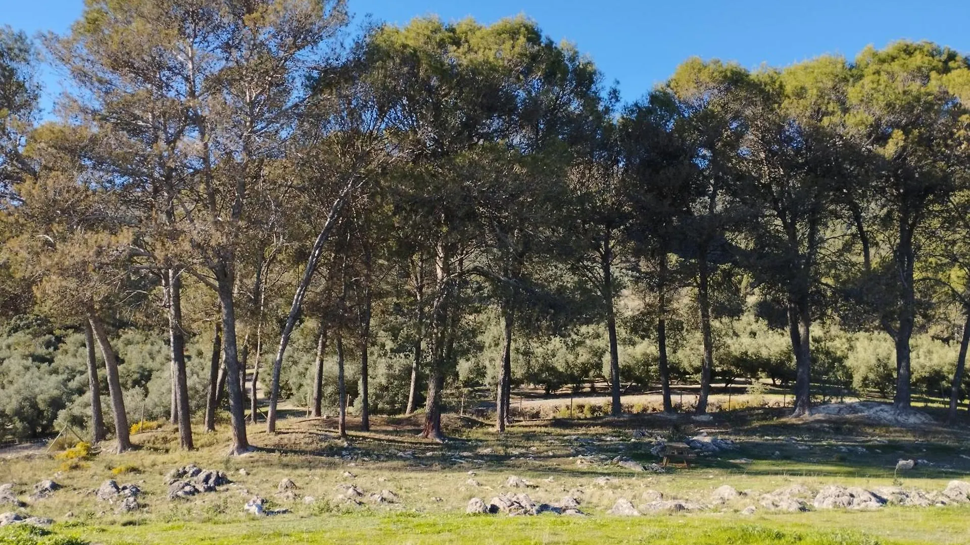 Holiday home La Rutena